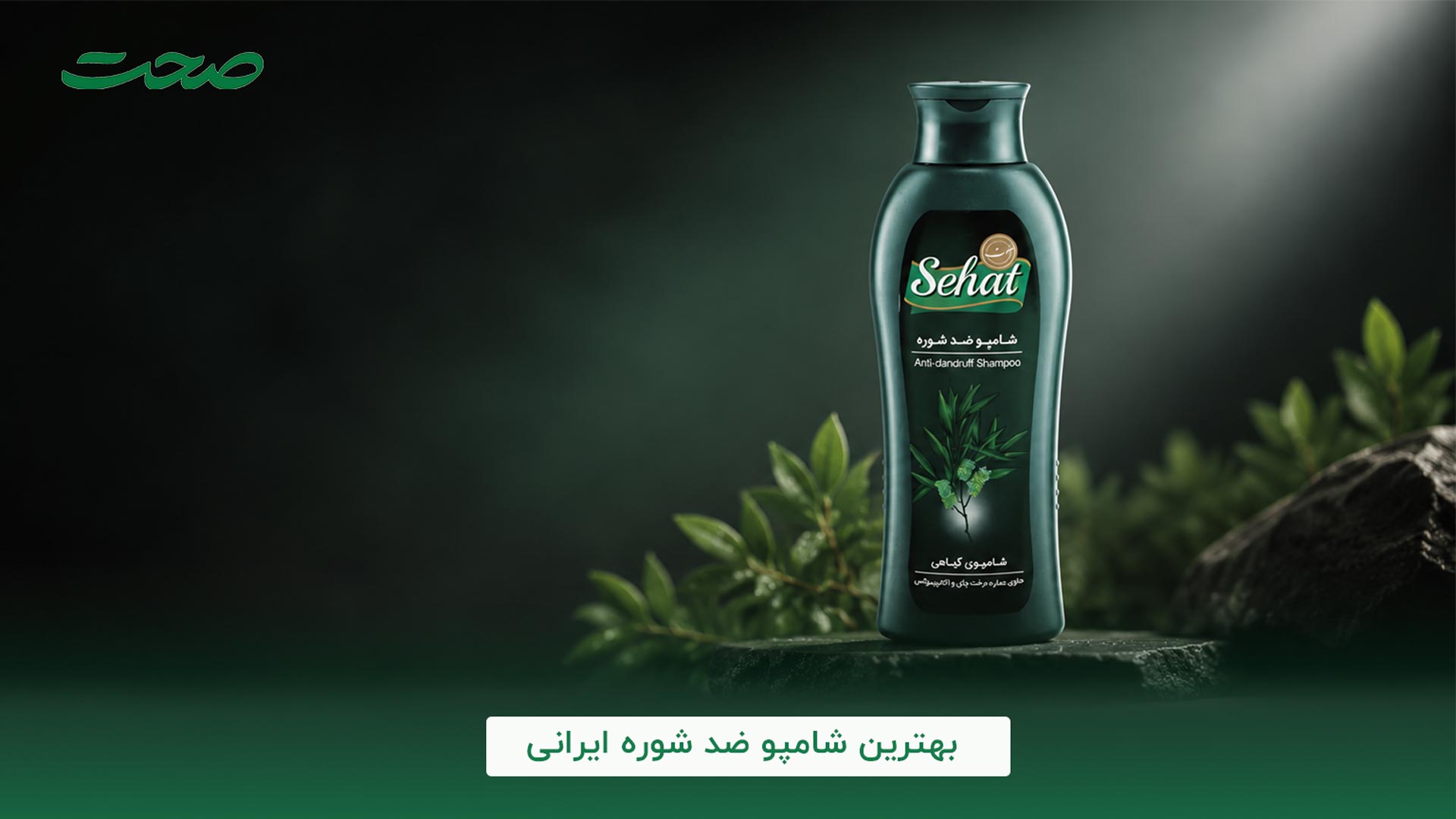 بهترین شامپوی ضد شوره ایرانی کدام است؟