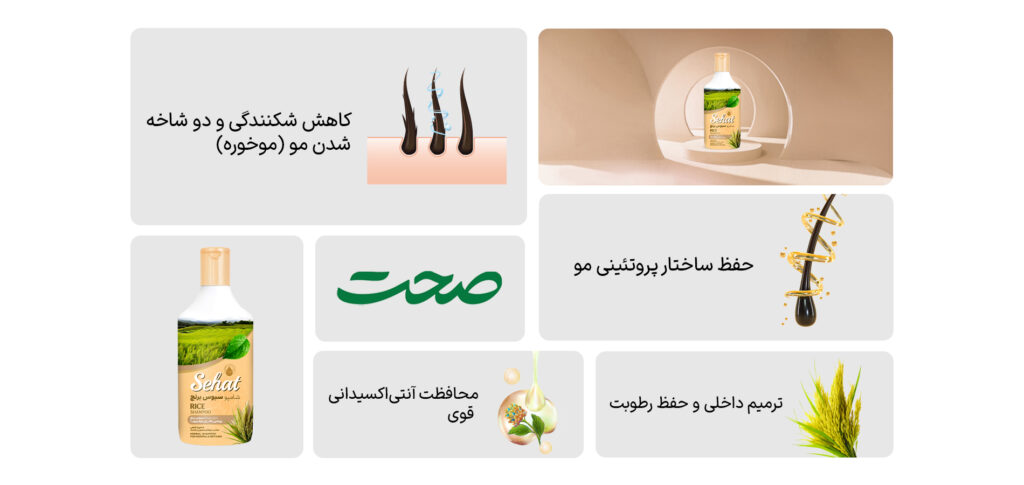شامپو سبوس برنج صحت با گاما اوریزانول و اینوزیتول ✅ ترمیم کوتیکول آسیبدیده | تقویت فولیکول و کاهش ریزش | محافظت طبیعی در برابر حرارت و اشعه UV شامپو سبوس برنج صحت با گاما اوریزانول و اینوزیتول ✅ ترمیم کوتیکول آسیبدیده | تقویت فولیکول و کاهش ریزش | محافظت طبیعی در برابر حرارت و اشعه UV