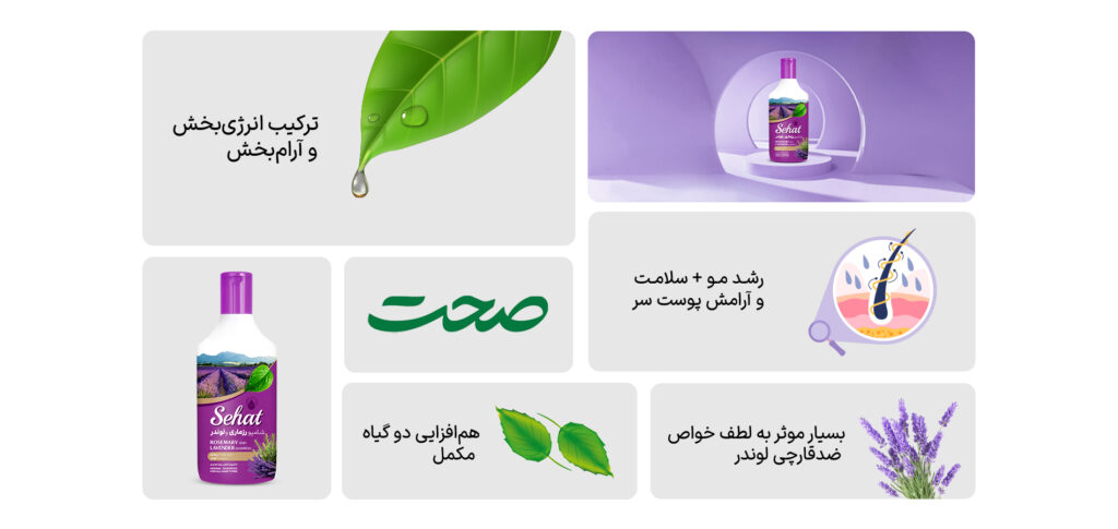 شامپو رزماری و لوندر صحت با عصاره طبیعی دوگانه ✅ تقویت فولیکول مو و کاهش ریزش | ضد شوره و متعادلکننده چربی | رایحه آرامشبخش اسطوخودوس شامپو رزماری و لوندر صحت با عصاره طبیعی دوگانه ✅ تقویت فولیکول مو و کاهش ریزش | ضد شوره و متعادلکننده چربی | رایحه آرامشبخش اسطوخودوس