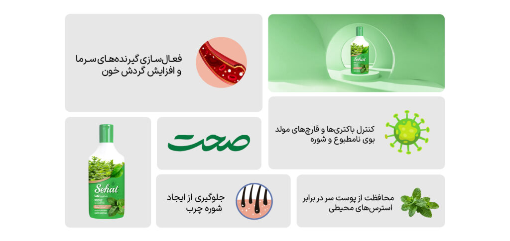 شامپو نعنا صحت با عصاره طبیعی Mentha piperita، حس خنکی ملایم و کنترل چربی پوست سر را بدون ایجاد حساسیت فراهم می‌کند. مناسب موهای معمولی تا چرب. خواص، راهنمای مصرف و مقایسه کامل.