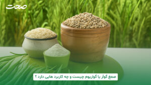 صمغ گوآر یا گوارگام چیست و چه کاربردی هایی دارد؟