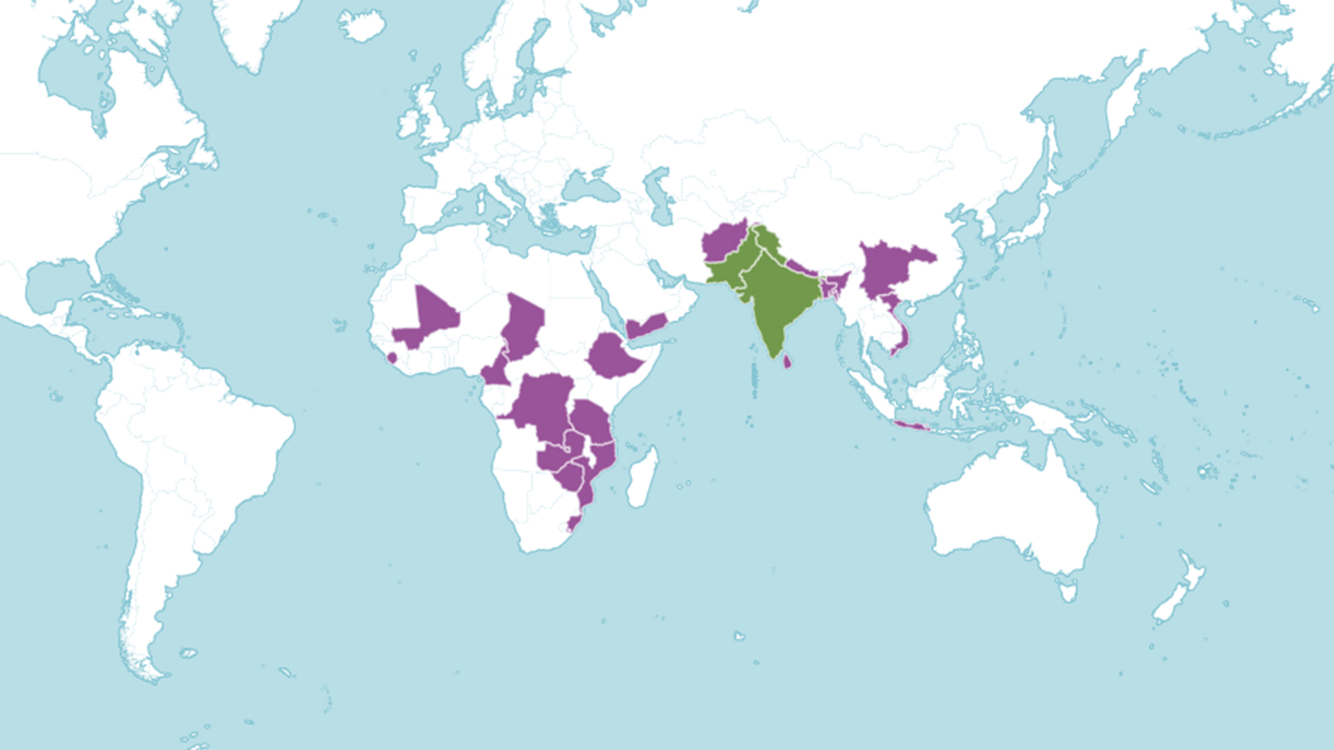 دامنه انتشار و پراکندگی گوآر در جهان به چه صورت است؟