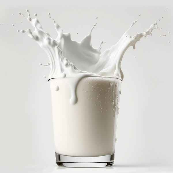 تامین و خرید پروتئین شیر هیدرولیز شده برای صنایع غذایی، مکمل‌سازی، دارویی و شیرخشک با کیفیت پایدار، مشاوره فنی و پشتیبانی تخصصی از صحت.