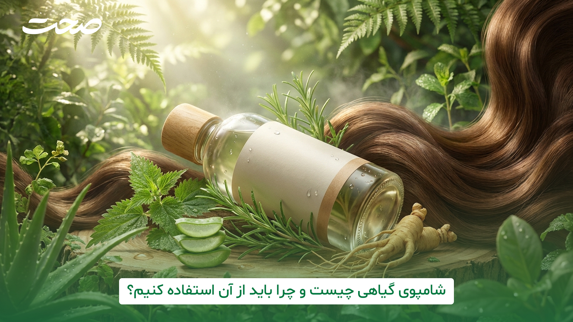 شامپوی گیاهی چیست؟