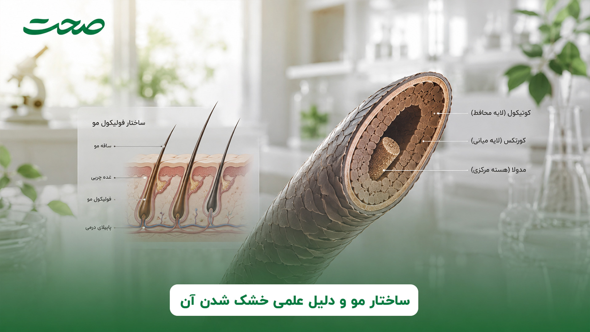 مو جه ساختاری دارد و دلیل خشکی مو چیست؟